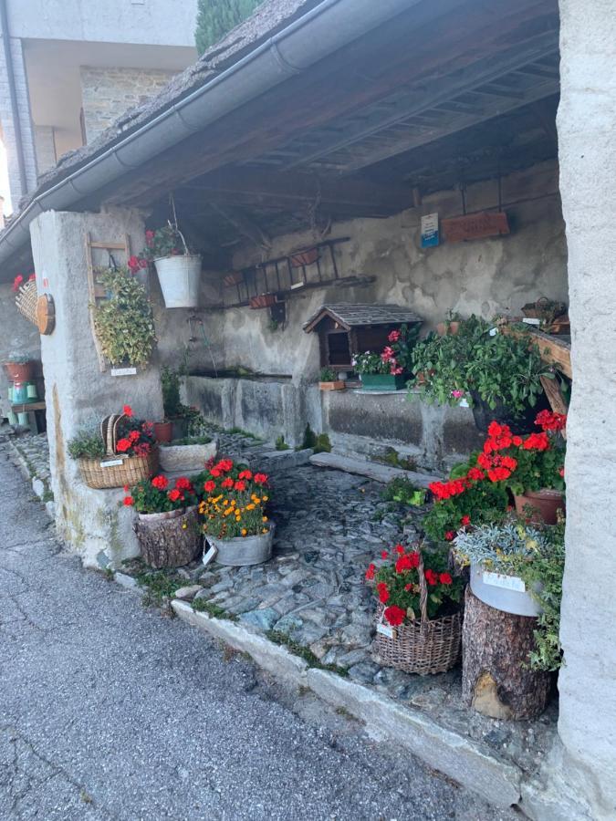 Casa Iolanda Apartment Bognanco Bagian luar foto